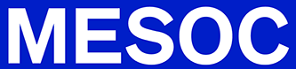 Europe flag